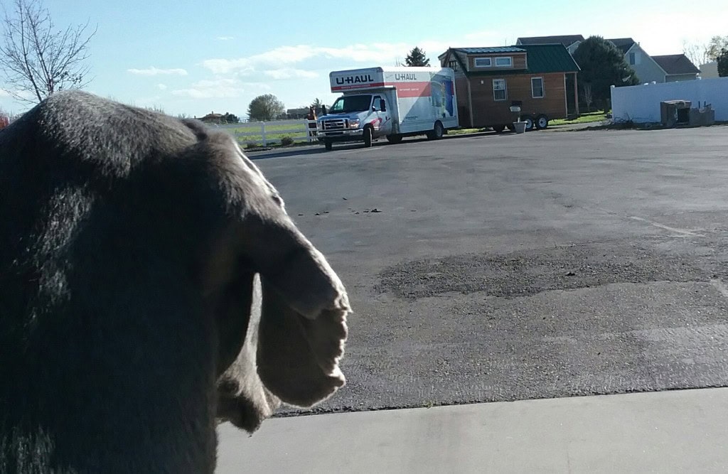 Denver was sad to say goodbye!