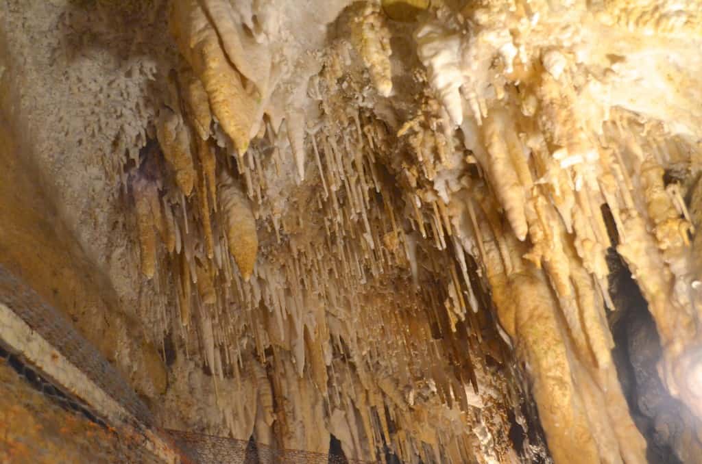 soda straws in Crystal Lake Cave Dubuque, Iowa