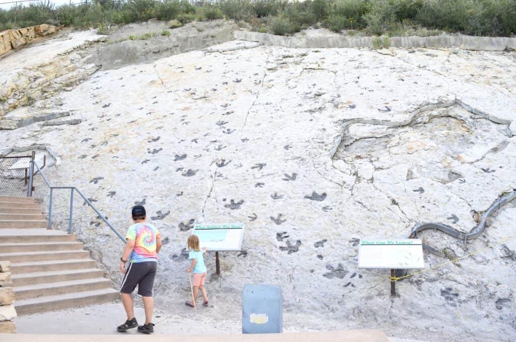 kids looking at dinosaur footprints Denver