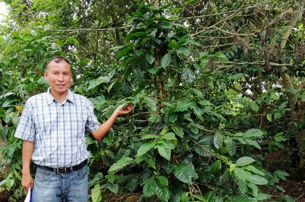 Don Mario Morales en su plantación Café Montaña de Guastatoya