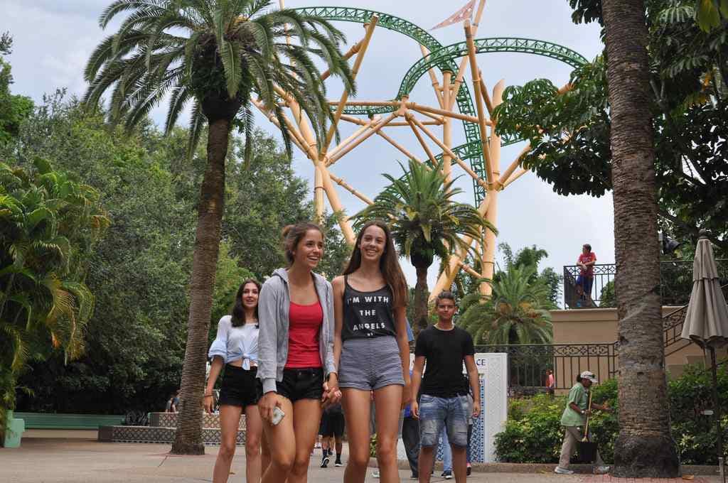 FHC Sprachreisen - Busch Gardens Florida Cheetah Hunt