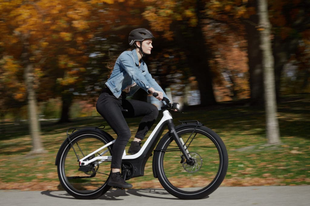 SERIAL 1 - eBikes 14 RUSH CTY STEPTHRU Action Right 1