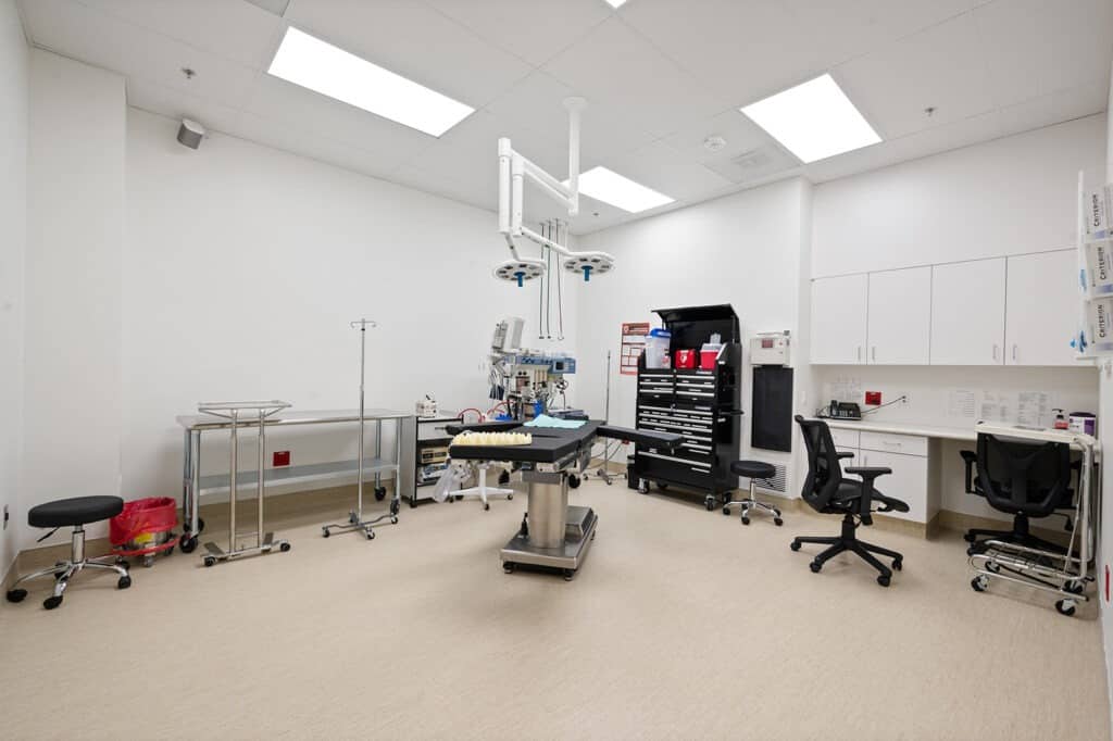 Experience the state-of-the-art equipment and sterile environment where our skilled surgical team performs precise and successful procedures.