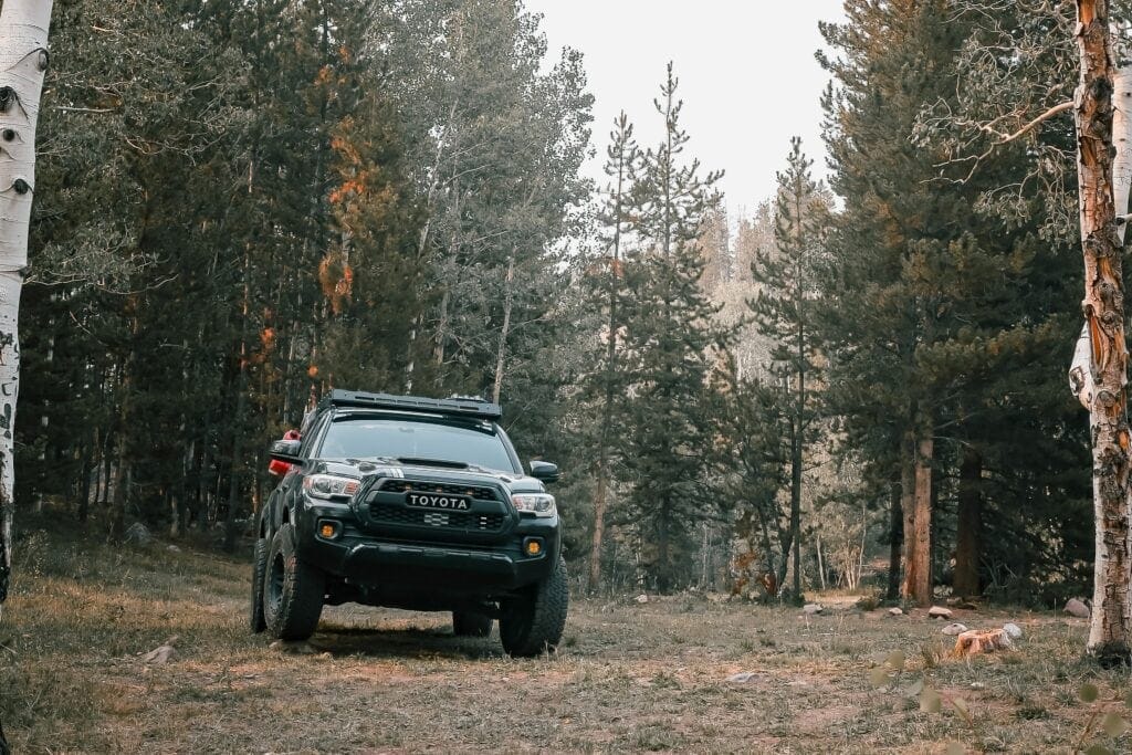 Toyota Tacoma in a forest 