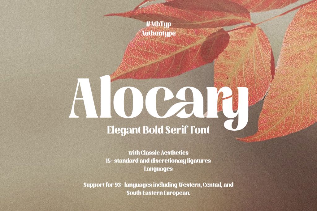 Alocary – Modern Bold Serif Logo Typeface