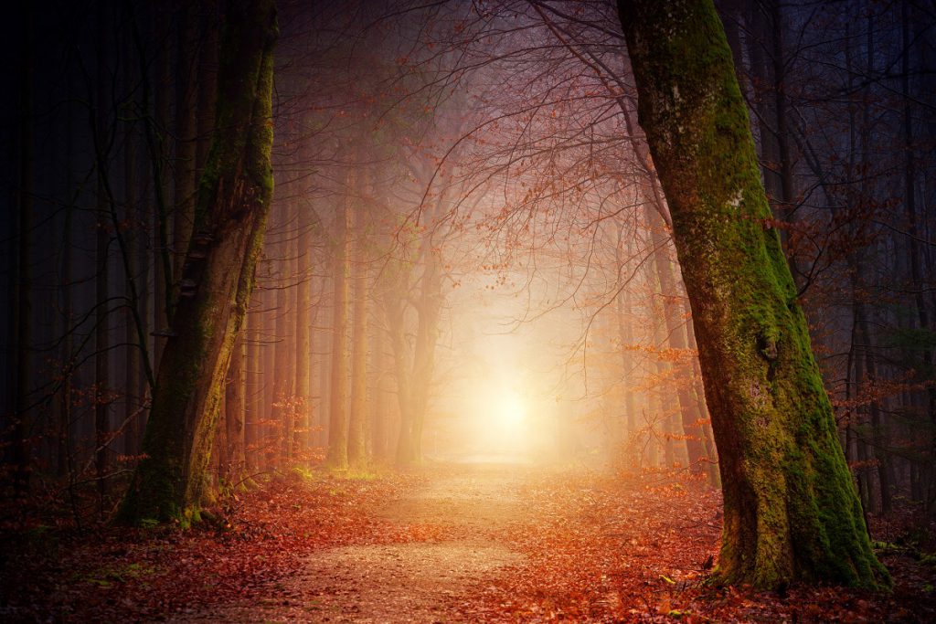 Four Common Myths about Estate Planning