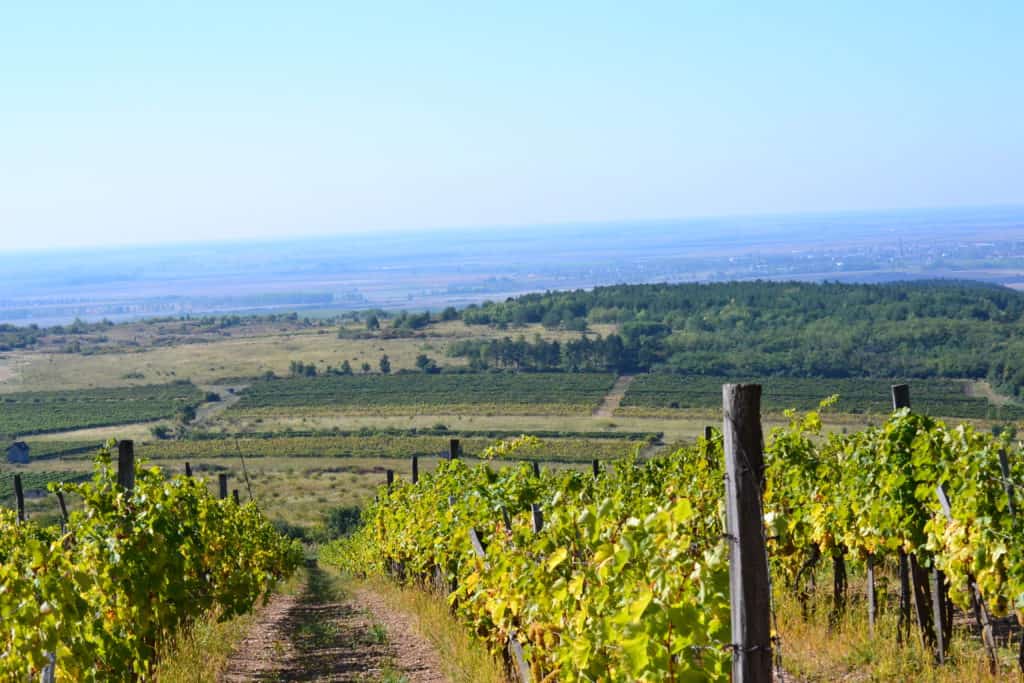 landscape_tokaj