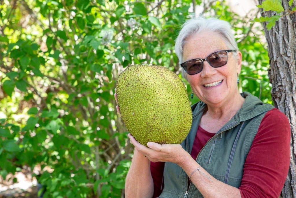 Author holds Jackfruit up near her face showing how large this oval shaped fruit really is 1.5x the size of her head
