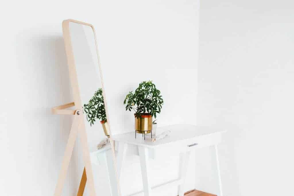 little spaces mirror long