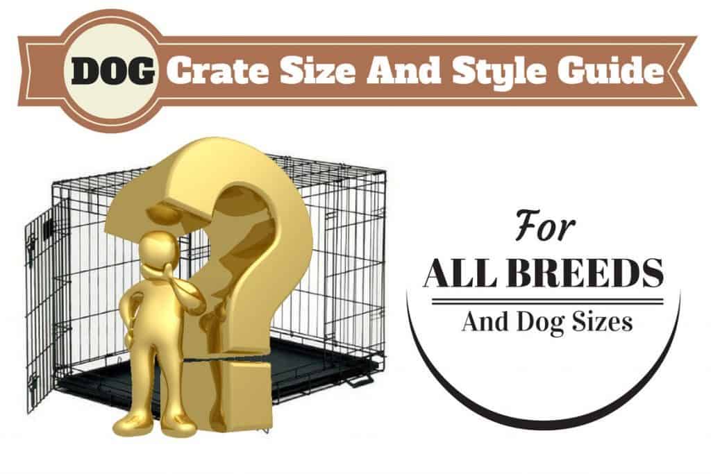 Door dog crate size guide written above a gold man and question mark in front of dog crate