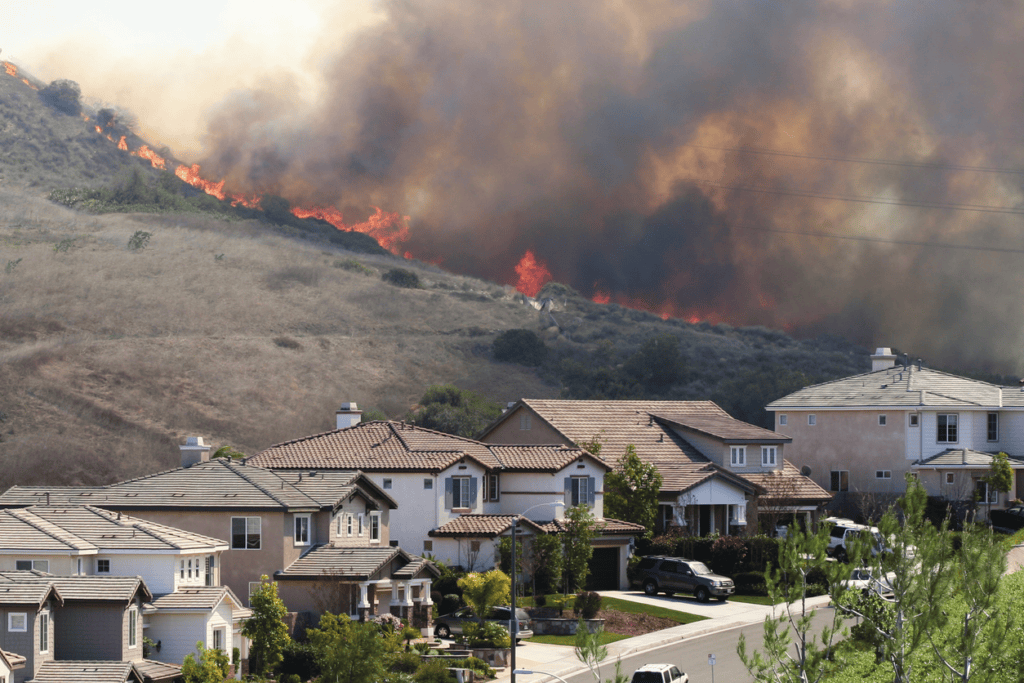 wildfire