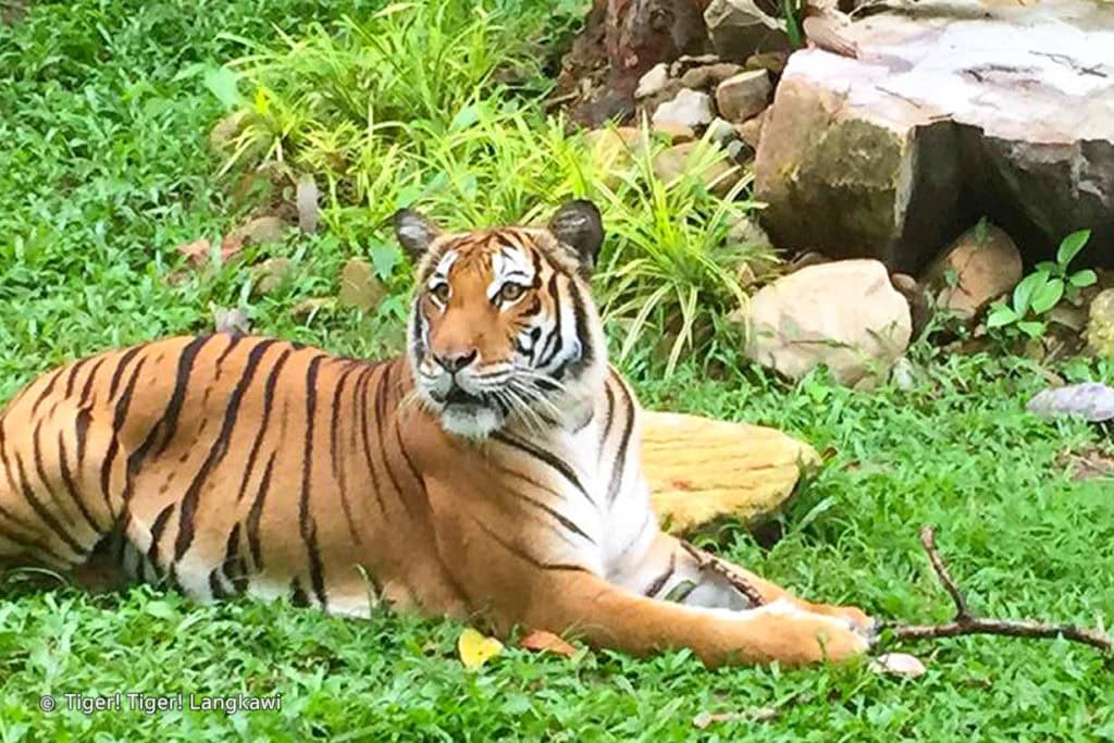 Langkawi Wildlife Park