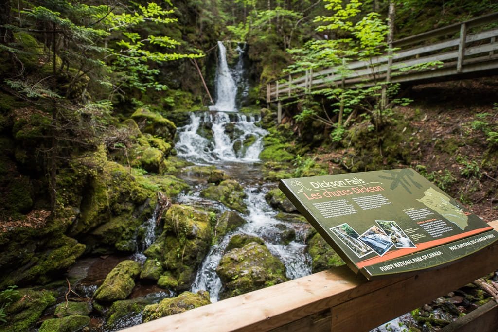 Dickson Falls in Fundy National Park