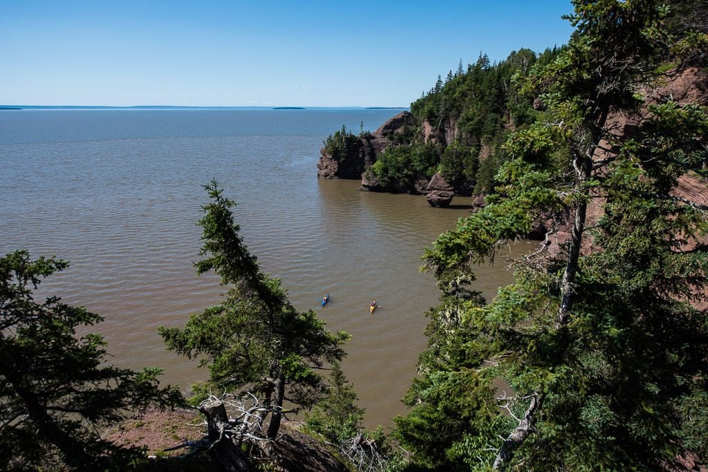 Kayakers exploring the hopewell rocks area during high tide