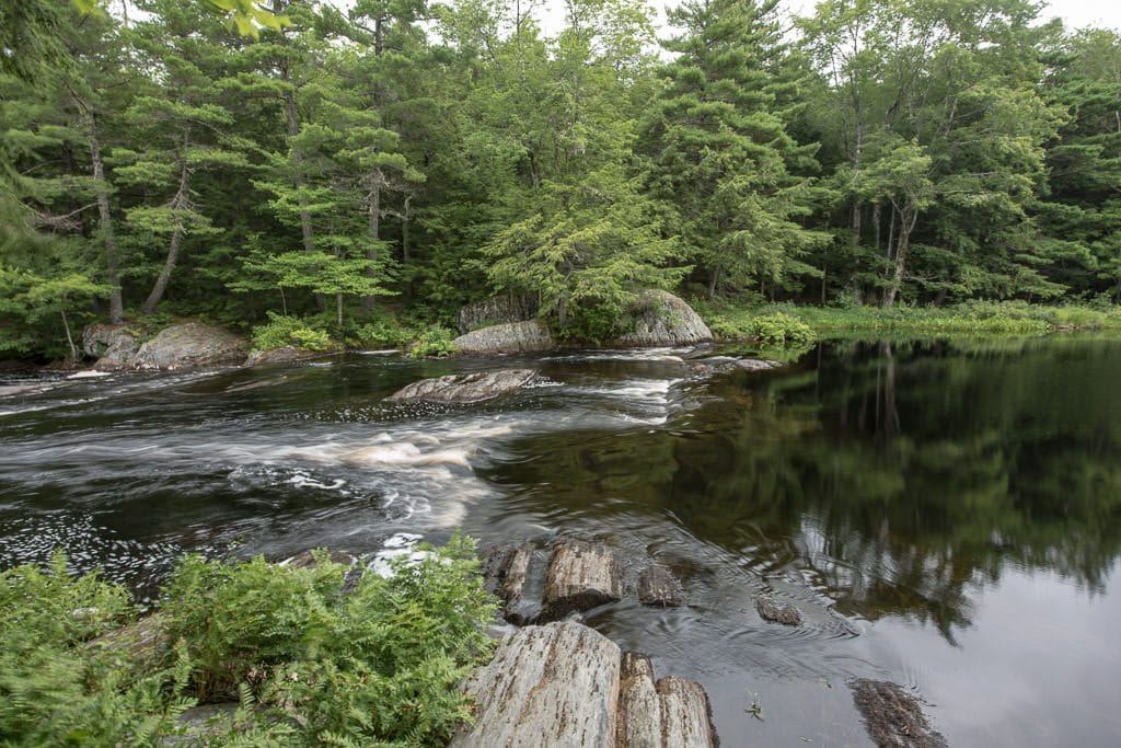 a calm area of water flowing into the beginning of Mill Falls in kejimkujik national park