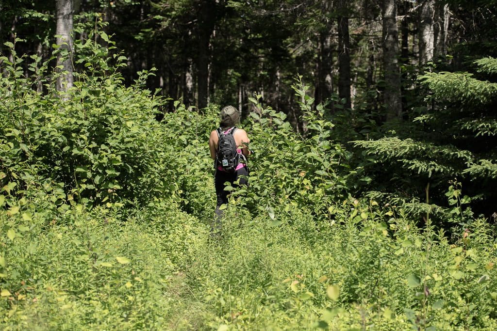 Brooke with her head net on walking through the thick overgrown trail headed towards the summit of Mount Stamford