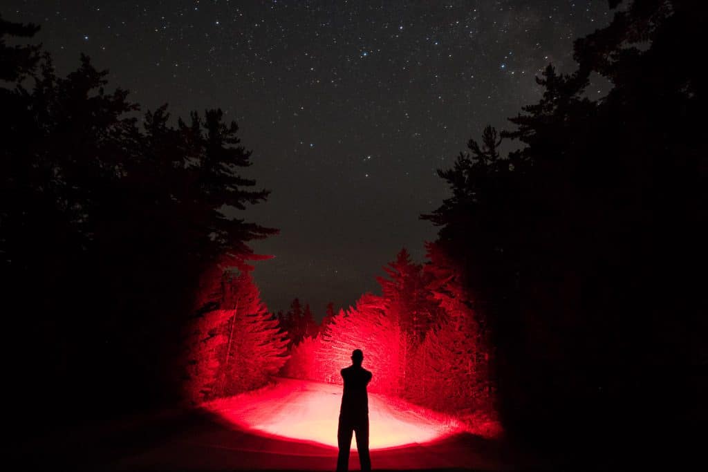 Buddy shining his red light down a trail in complete darkness