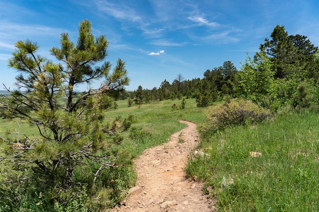 One of the many hiking trails available in Westminster