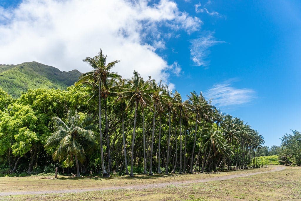 views Hiking to Kalaupapa Molokai