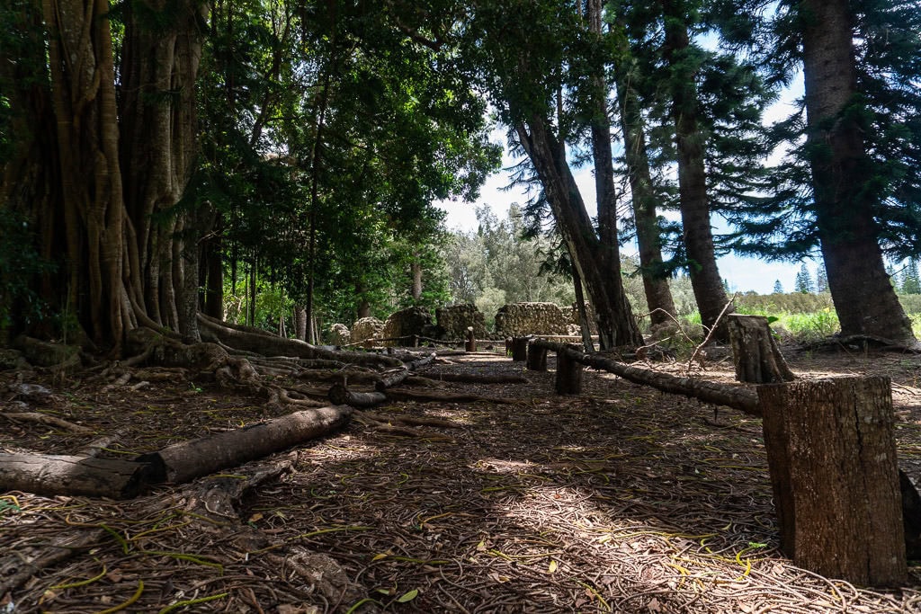 remnants of an early school/church at Kihamaniania on a day trip to lanai