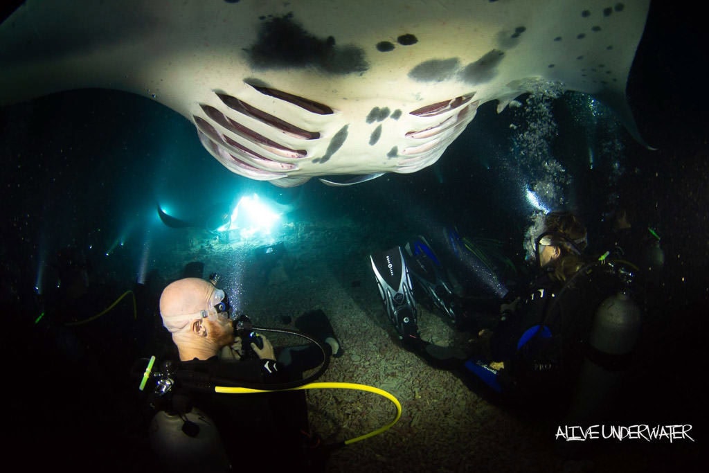 Manta Ray swimming towards the campfire and coming from behind the group of divers sitting on the floor