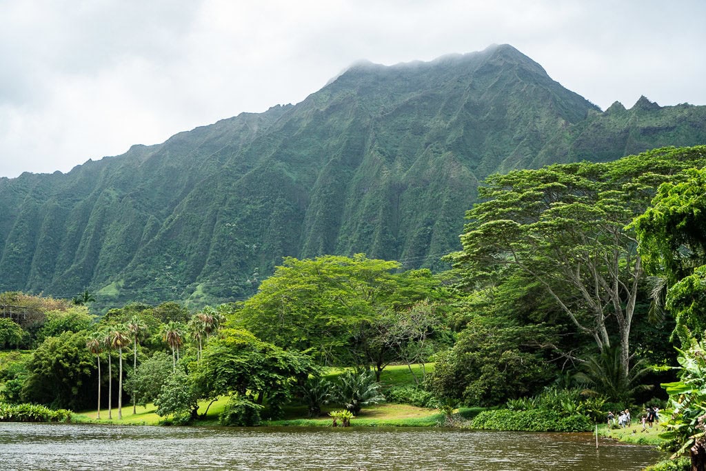 mountainside view at Ho’omaluhia Botanical Garden