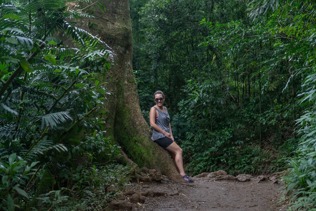 resting on a Manoa Falls Hiking trail