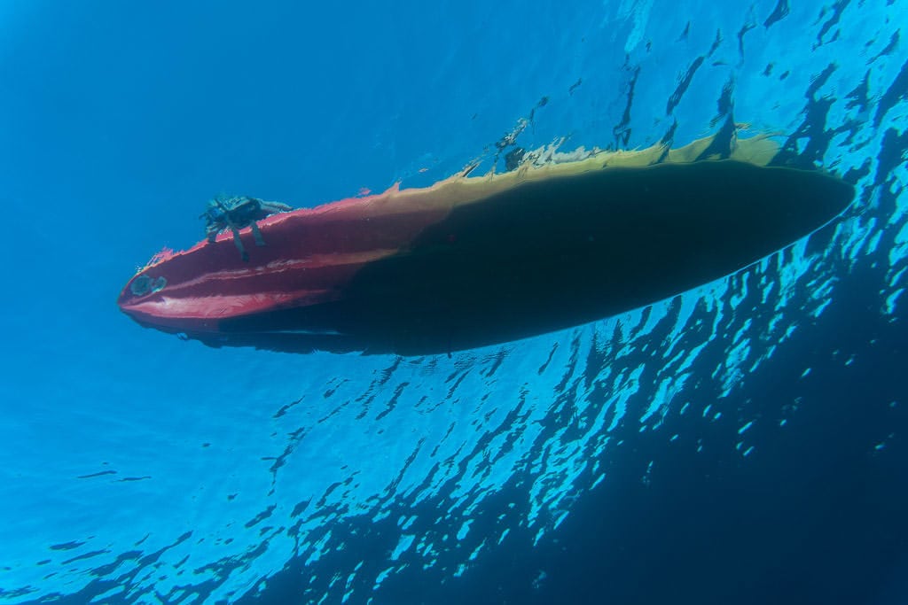 big island kayaking with wild dolphins and snorkeling kona bayside adventures