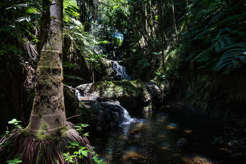 hawaii tropical botanical garden hilo big island