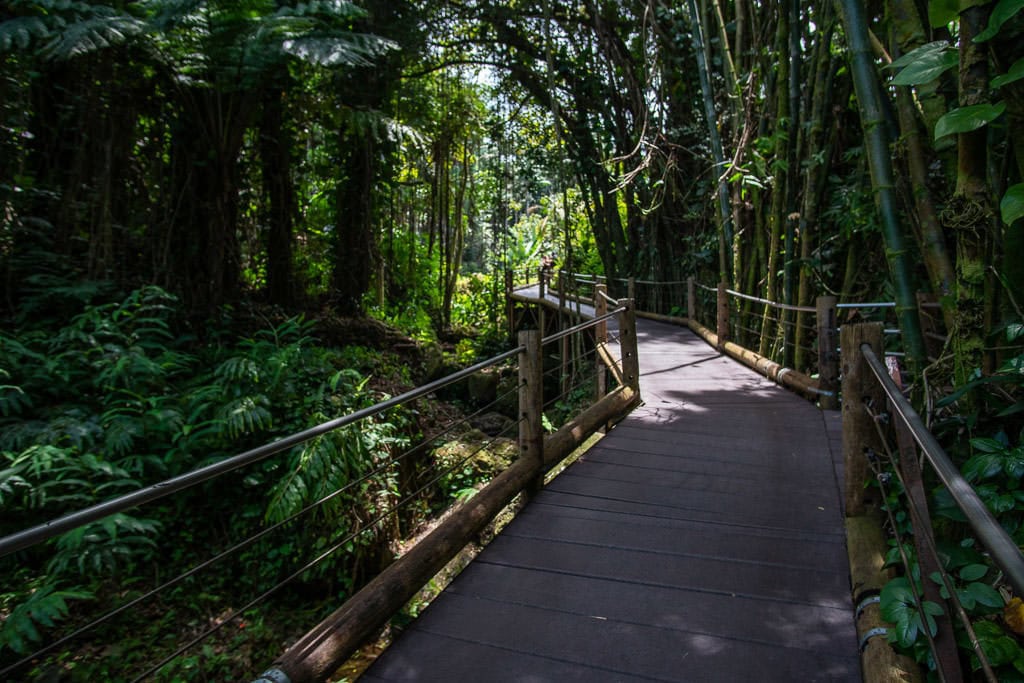 hawaii tropical botanical garden hilo