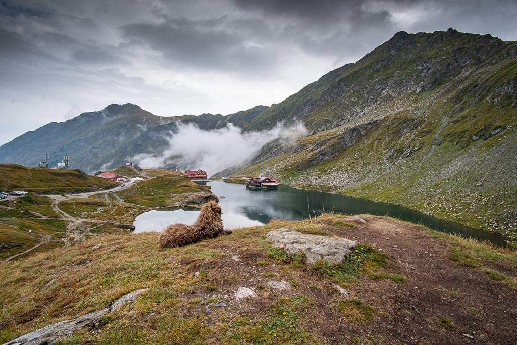 Transfagarasan Highway in romania