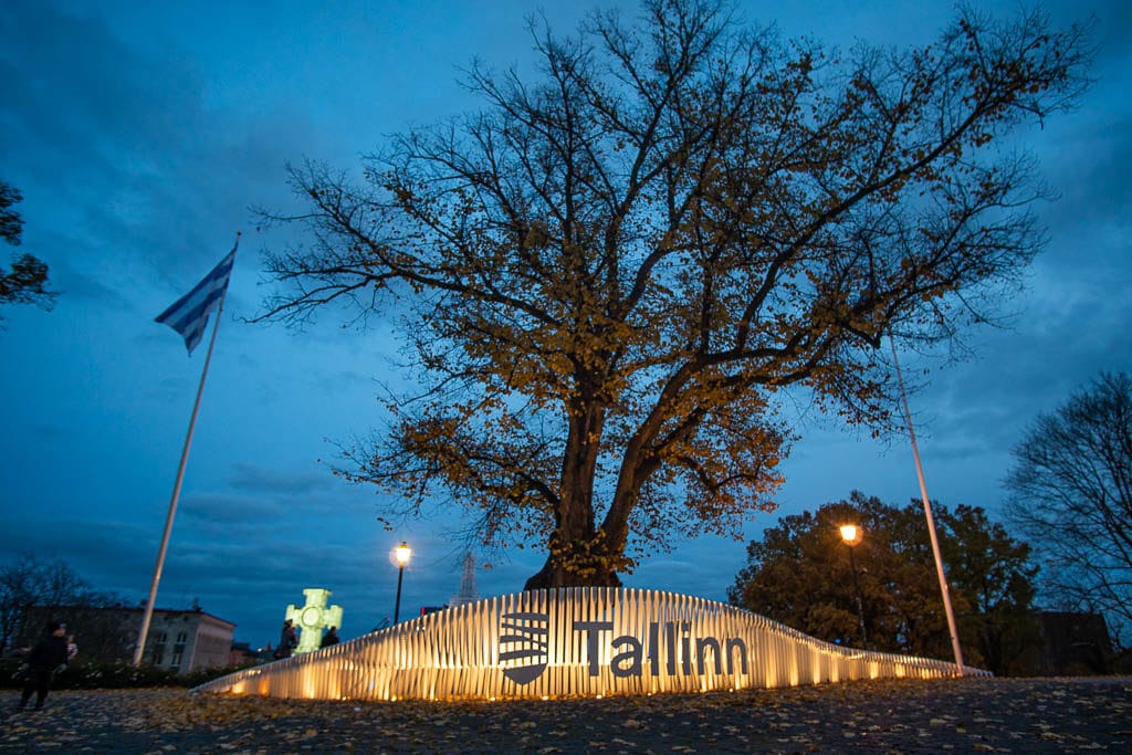 Tallinn sign up on hill at night