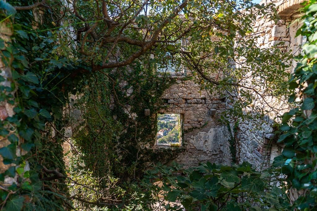 One of the structures still standing with many vines and trees overtaking it.