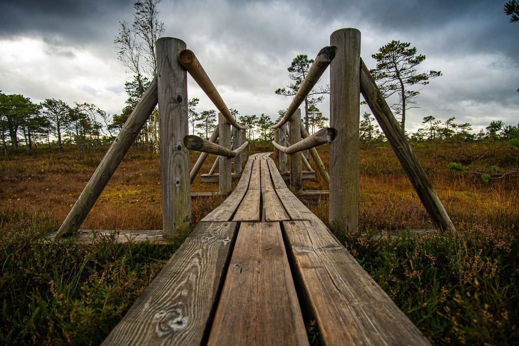 riga latvia bog