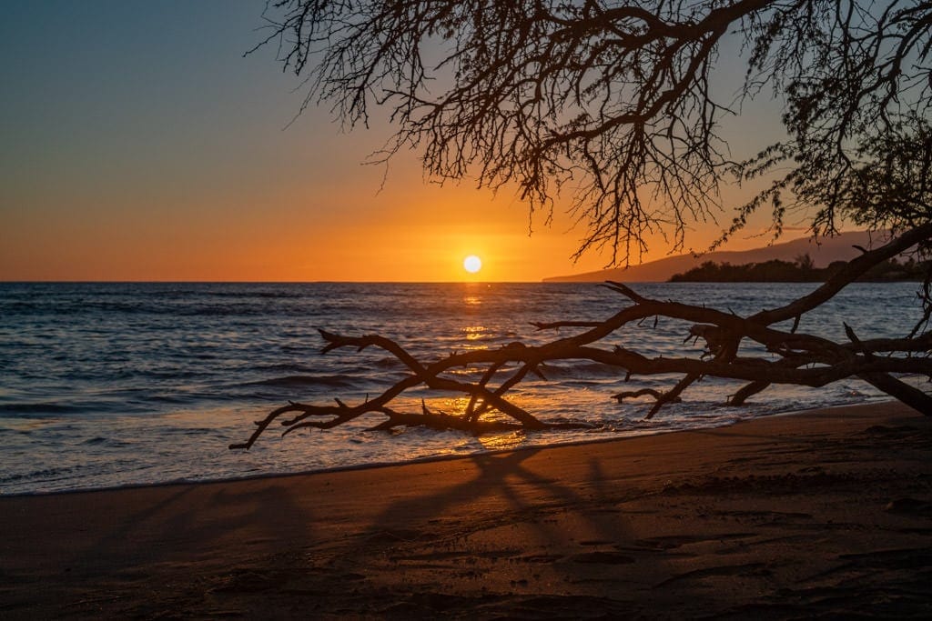 maui sunset