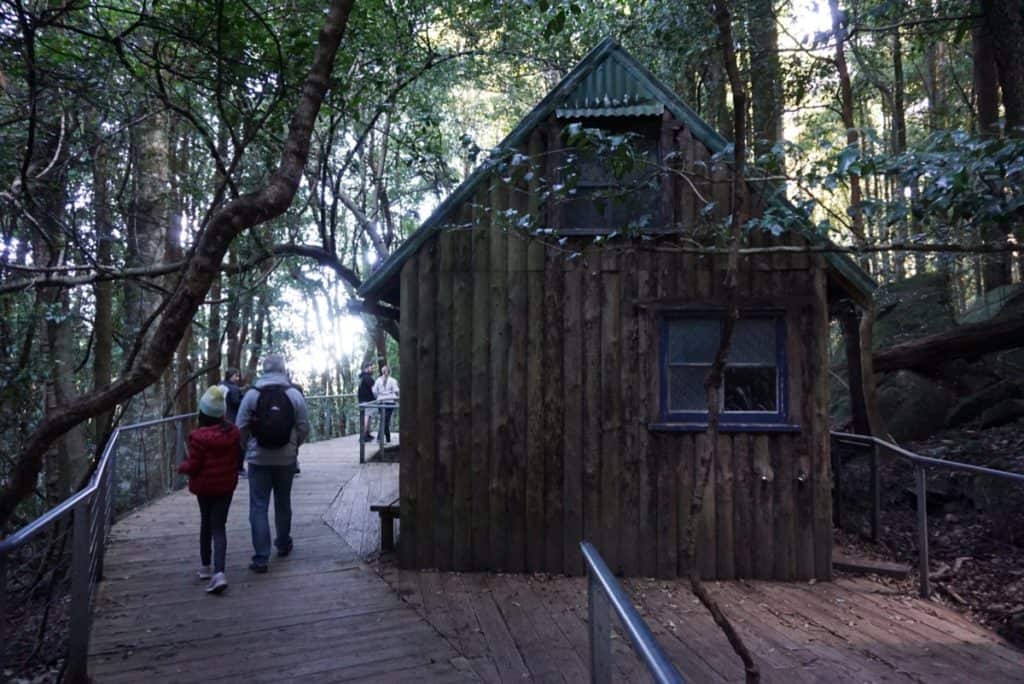 Scenic Walkway Blue Mountains with kids