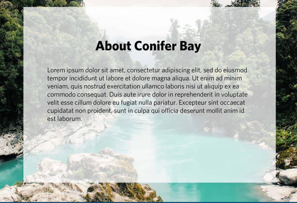 Conifer Bay Quarterly Report Page 13