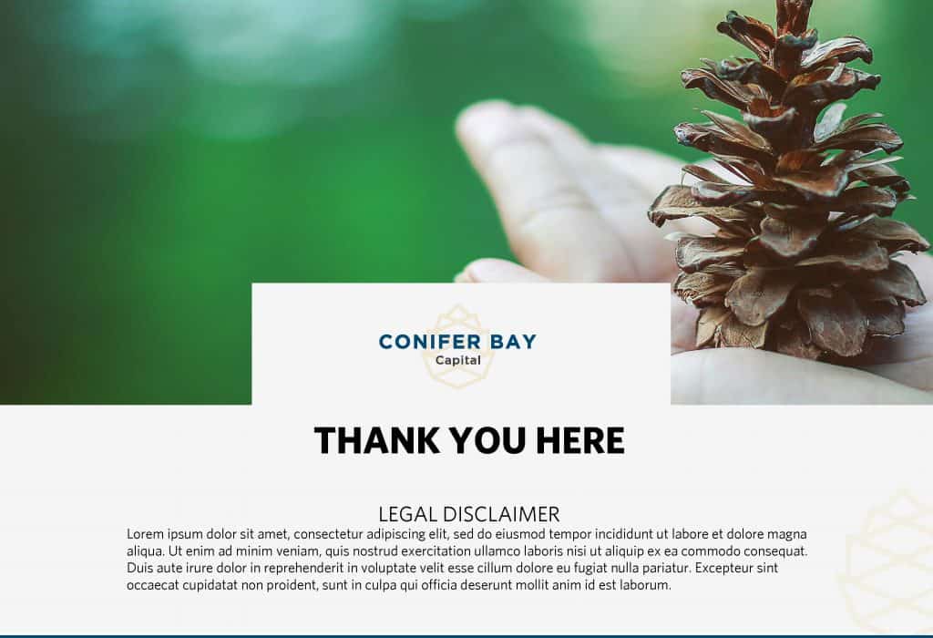 Conifer Bay Quarterly Report