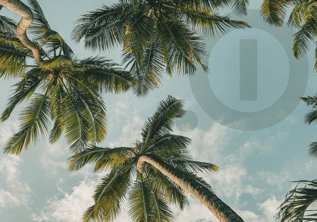 Tres palmeras y el logo de absence.io