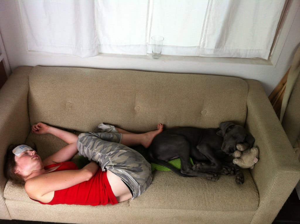 Awww pregnancy is fun... not really, pretty much everything sucks actually!  This was my Sunday, I think I actually slept 20+ hours that day and felt like crap the whole time, no idea why James likes to take pictures of it, ha!  If I could trade him places just one day!  Anyway, this would be why my progress has slowed, I am hoping that I get a little more energy sometime soonish.  Denny is a good nap partner though :) 