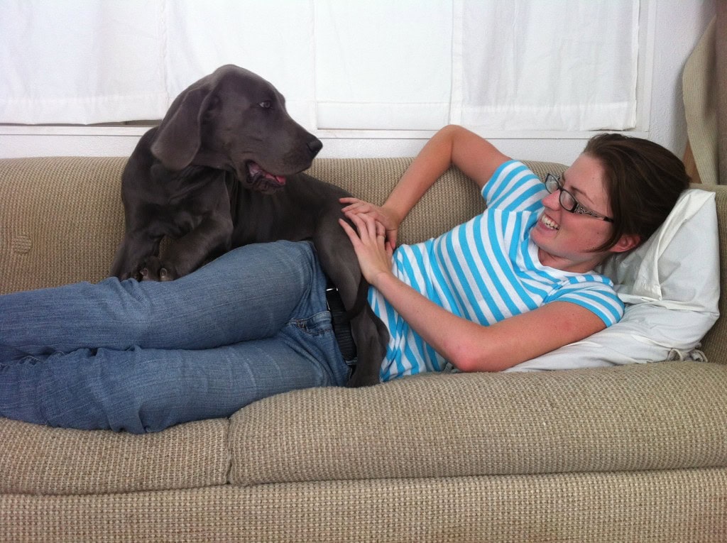 Danny wouldnt just sit still for a good picture, he just always wants to play! 