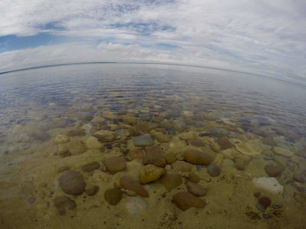 Are any of these southern Lake Michigan beach rocks good for tumbling? I  added a little water to some to show the shine. Not sure what they all are,  I'm guessing quartzite