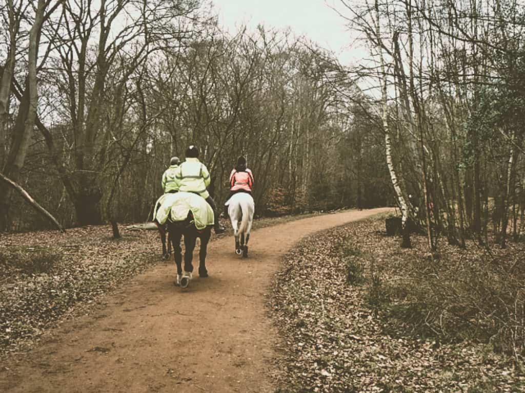 Horse Riding in Epping Forest