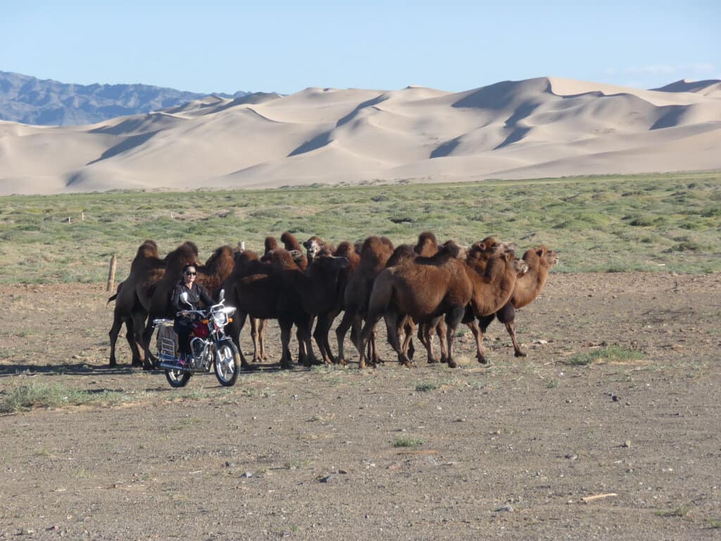 Our cool host rounding up the camels on her bike
