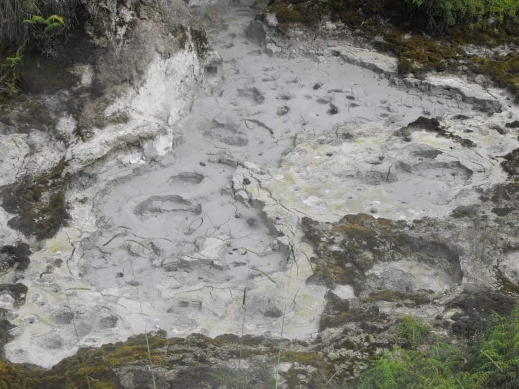 Mud Pools at Kuirau Park!