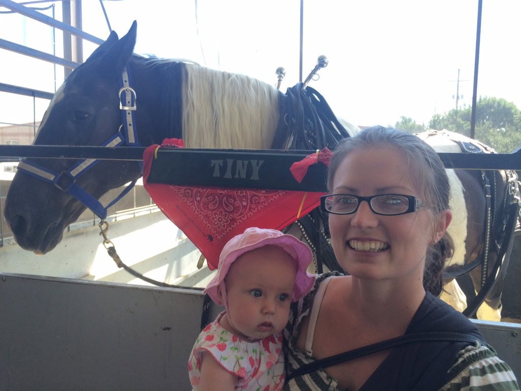 We went to the fair and found a horse named 'Tiny', he won the draft horse challenge too! Because we rooted for him! :)