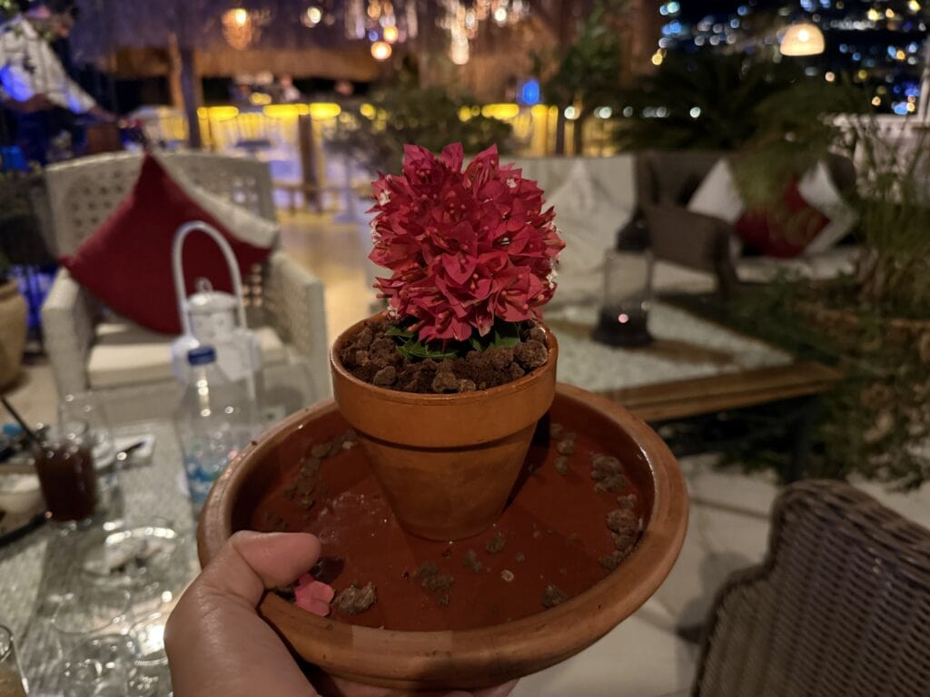 likya-residence-kalkan-findik-parfe-sufle