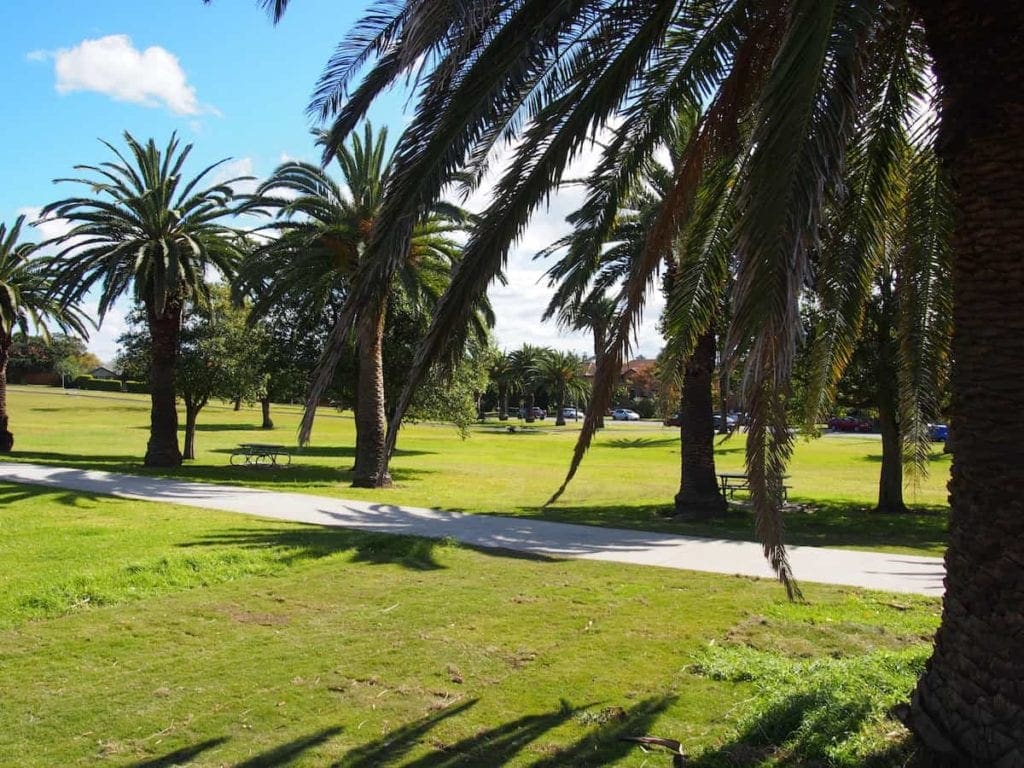 Nesca Park in The Hill