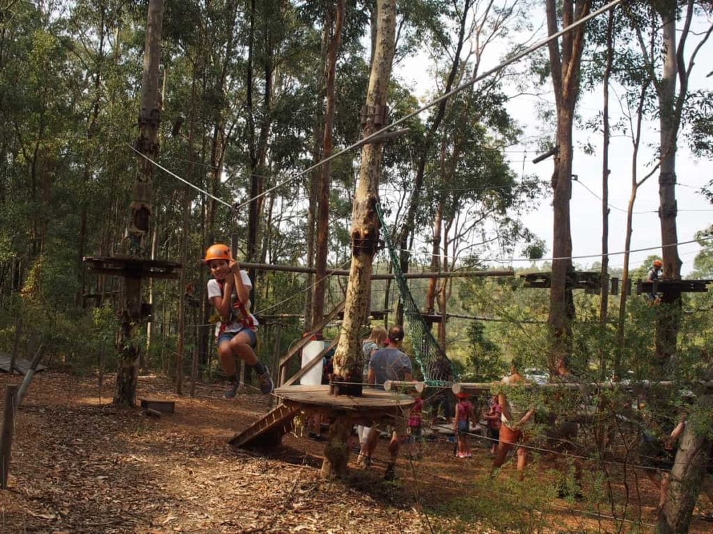 tree top adventure newcastle