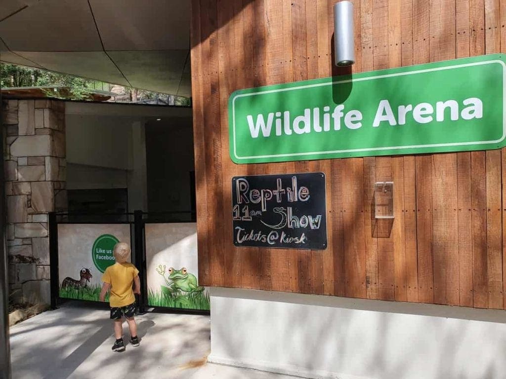 Blackbutt Reserve Reptile Show